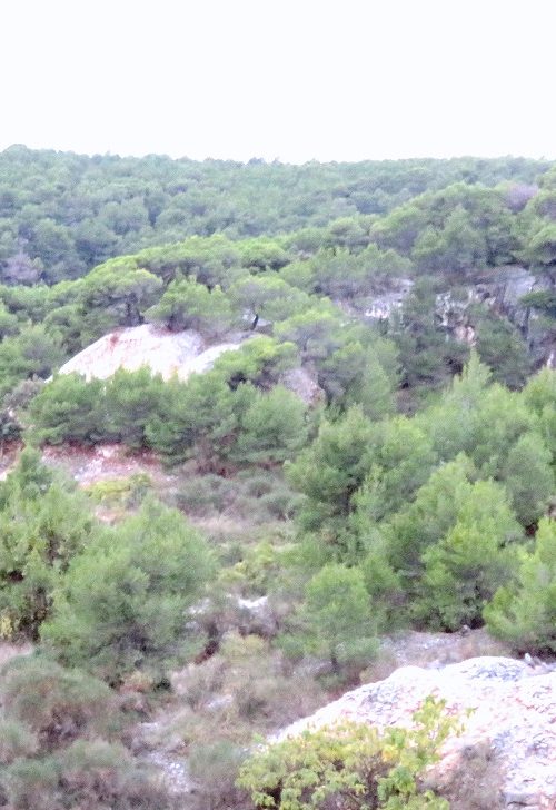 The interior of Brač