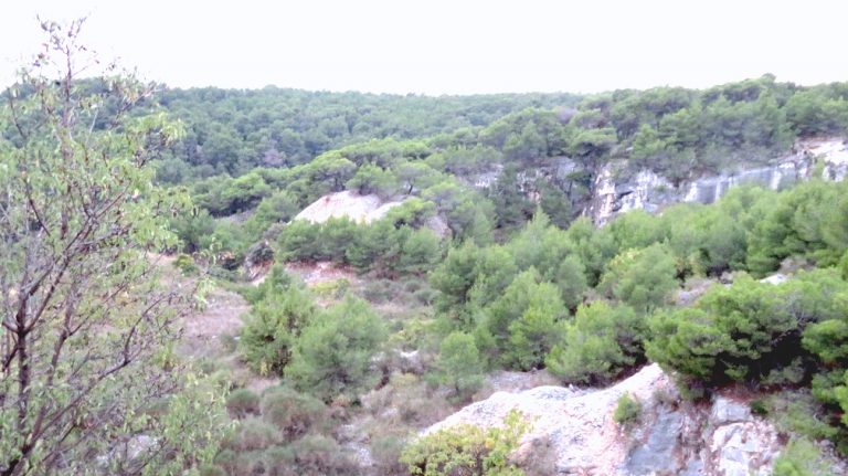 The interior of Brač